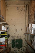 (story 18 pic#2)Western Basement Cellar.JPG